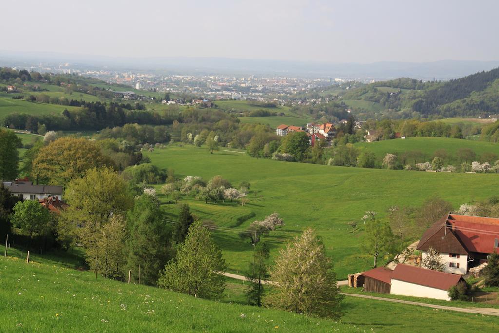 Luxus Appartement Schwarzwald Bei Freiburg 4 Schlafzimmer Sauna Solden Номер фото