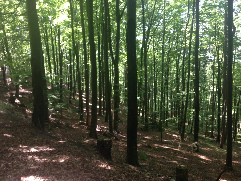 Luxus Appartement Schwarzwald Bei Freiburg 4 Schlafzimmer Sauna Solden Экстерьер фото